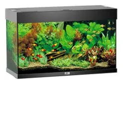 Acquario Juwel Rio 125 A Led Nero Bianco Darkwood + Kit Allestimento E Manutenzione (130€ Prodotti Omaggio) -Vendite Cibo per i pesci 02220849 rionero