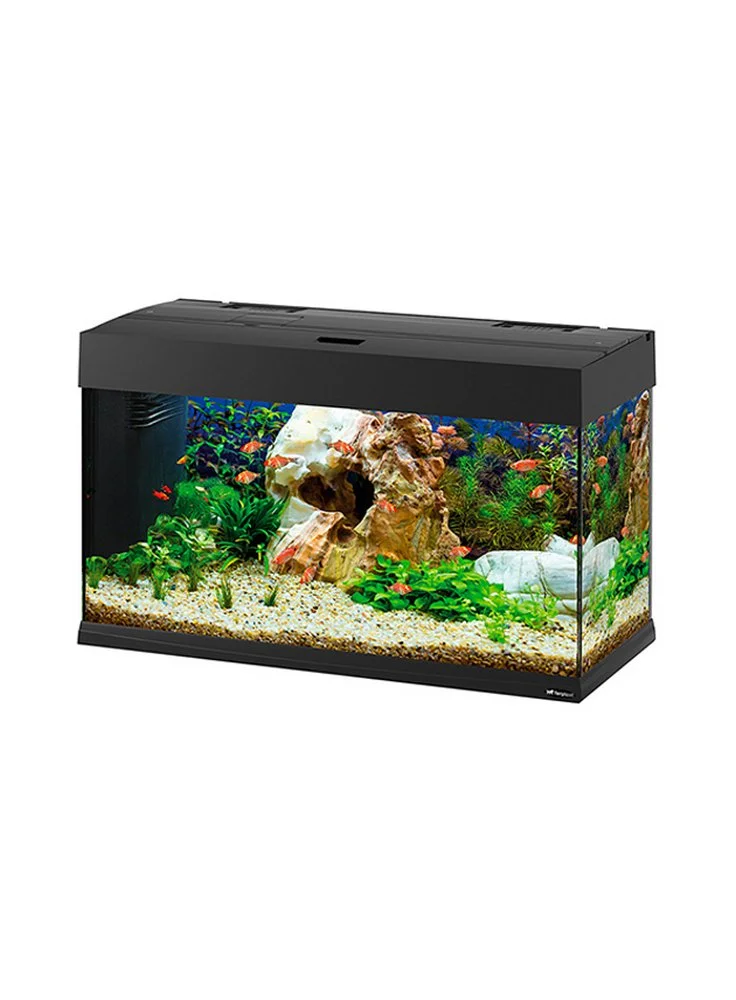 FERPLAST Acquario Dubai 80 Led 125 Litri Misure 81x36x51h + Allestimento Dolce 4 FERPLAST Acquario Dubai 80 Led 125 Litri Misure 81x36x51h + Allestimento Dolce - immagine 2