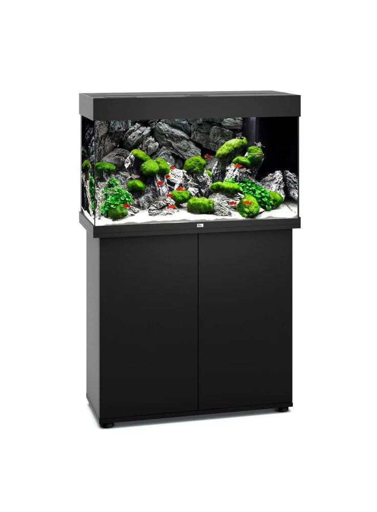 Supporto Mobile Per Juwel Rio 125 3 Supporto Mobile Per Juwel Rio 125