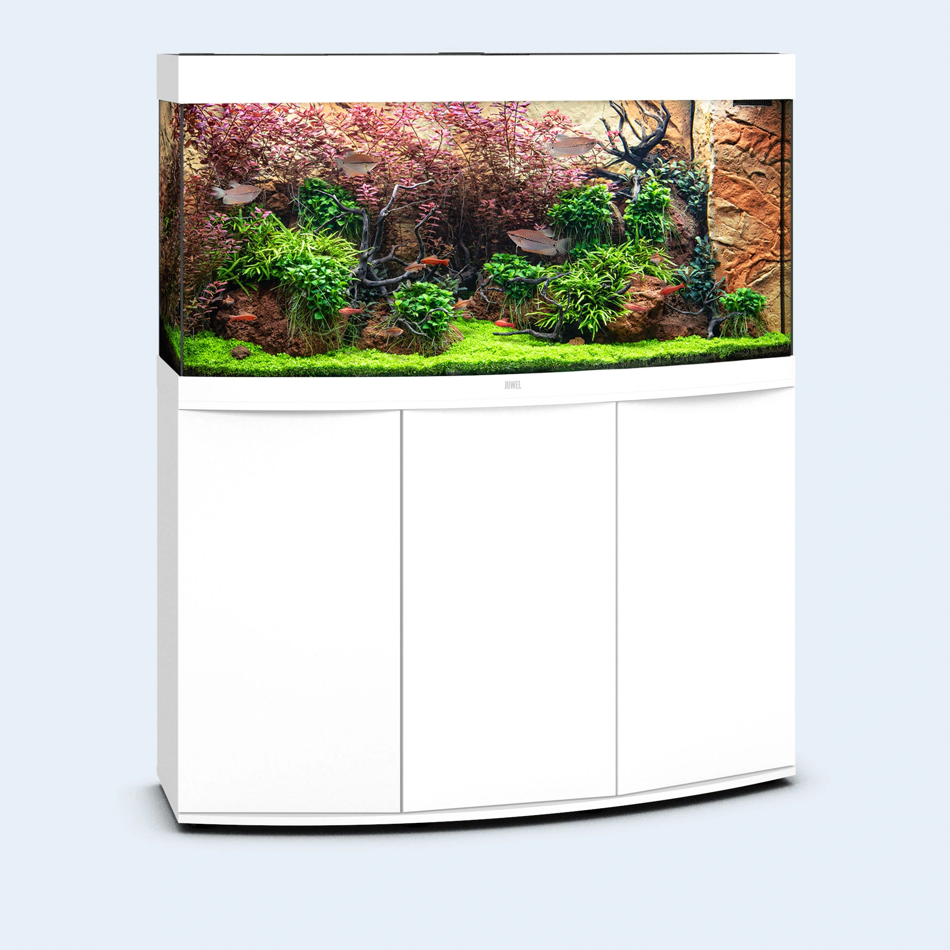 ACQUARIO JUWEL VISION 260 Led Bianco Nero Faggio 3 ACQUARIO JUWEL VISION 260 Led Bianco Nero Faggio