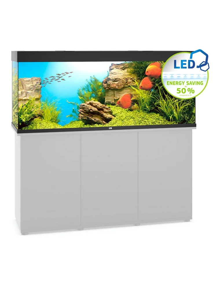 Zolux Acquario Juwel Rio 450 A Led Nero Bianco Darkwood 5 Zolux Acquario Juwel Rio 450 A Led Nero Bianco Darkwood - immagine 3