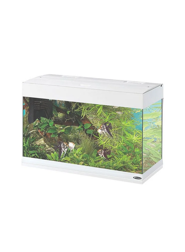 FERPLAST Acquario Dubai 80 Led 125 Litri Misure 81x36x51h + Allestimento Dolce 3 FERPLAST Acquario Dubai 80 Led 125 Litri Misure 81x36x51h + Allestimento Dolce