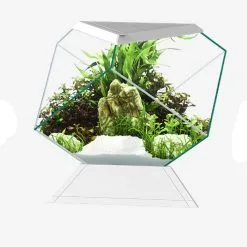 PETINGROS Askoll Acquario Nexus Pure 5c Betta Life 5.5 Lt