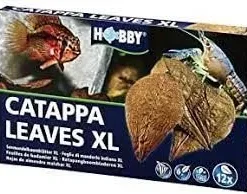 Hobby Fogli Di Catappa 12 UnitÀ