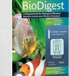 Prodibio Bio Digest Pro (10 Fiale)