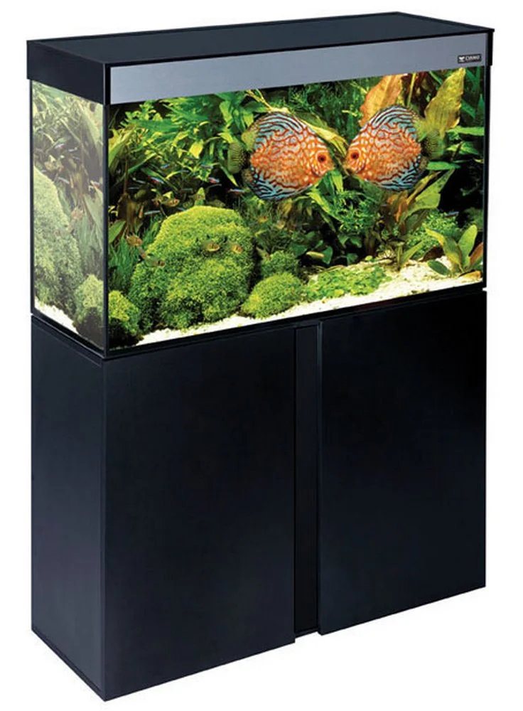 Askoll Acquario Stilus 60 Open + Led Haquoss + Filtro Skill 220 4 Askoll Acquario Stilus 60 Open + Led Haquoss + Filtro Skill 220 - immagine 2