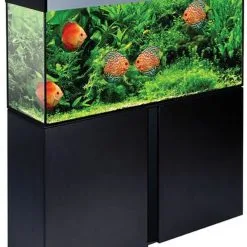 Askoll Acquario Stilus 60 Open + Led Haquoss + Filtro Skill 220 7 Askoll Acquario Stilus 60 Open + Led Haquoss + Filtro Skill 220 -Vendite Cibo per i pesci Emotions120