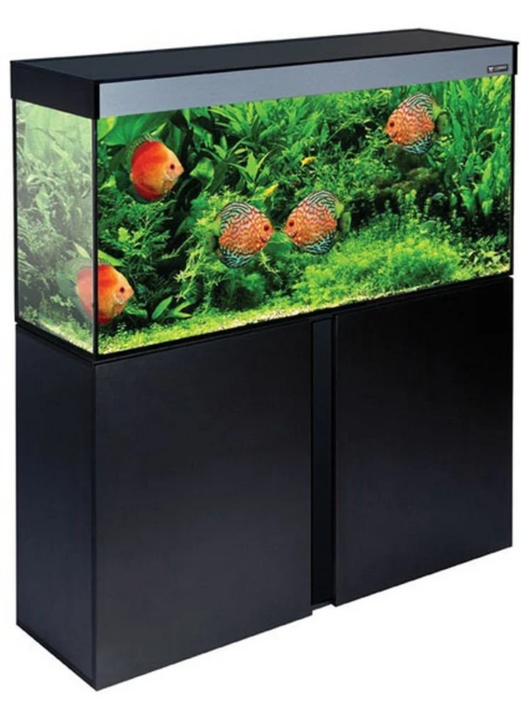 Askoll Acquario Stilus 60 Open + Led Haquoss + Filtro Skill 220 5 Askoll Acquario Stilus 60 Open + Led Haquoss + Filtro Skill 220 - immagine 3