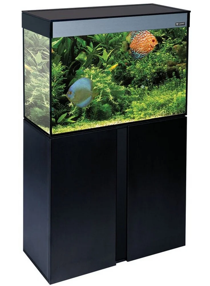 Askoll Acquario Stilus 60 Open + Led Haquoss + Filtro Skill 220 3 Askoll Acquario Stilus 60 Open + Led Haquoss + Filtro Skill 220