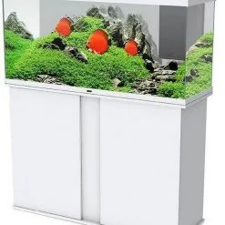 Stand Emotion Pro Led Nature Askoll