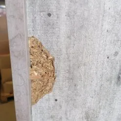 Supporto Aquatlantis Splendid -Vendite Cibo per i pesci IMG 20220511 111001