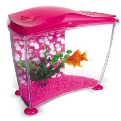 Askoll Acquario Marina Goldfish Blu E Rosa 7 Askoll Acquario Marina Goldfish Blu E Rosa -Vendite Cibo per i pesci Marina20goldfish20rosa