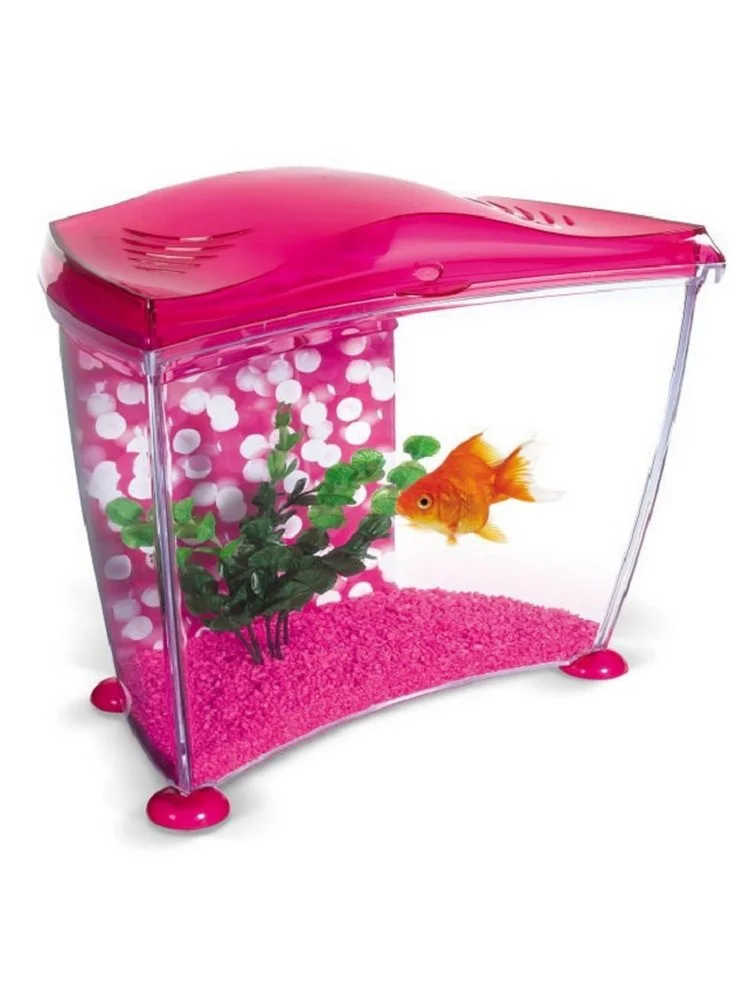 Askoll Acquario Marina Goldfish Blu E Rosa 5 Askoll Acquario Marina Goldfish Blu E Rosa - immagine 3