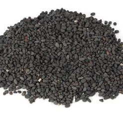 Tetra CF 400/600/700/1200/2400 Carbone Attivo -Vendite Cibo per i pesci Tetra Carbon Tec 6400c69de2618 g