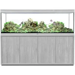 AQUATLANTIS -SUPPORTO FUSION200 19mm C.059 - Piccolo Danno Non Visibili Nella Parte Posteriore Sinistra