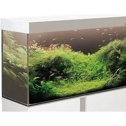 Askoll Emotion Pro Led 100 E 120 Anche Con Allestimento 5 Askoll Emotion Pro Led 100 E 120 Anche Con Allestimento -Vendite Cibo per i pesci askoll 100 led white