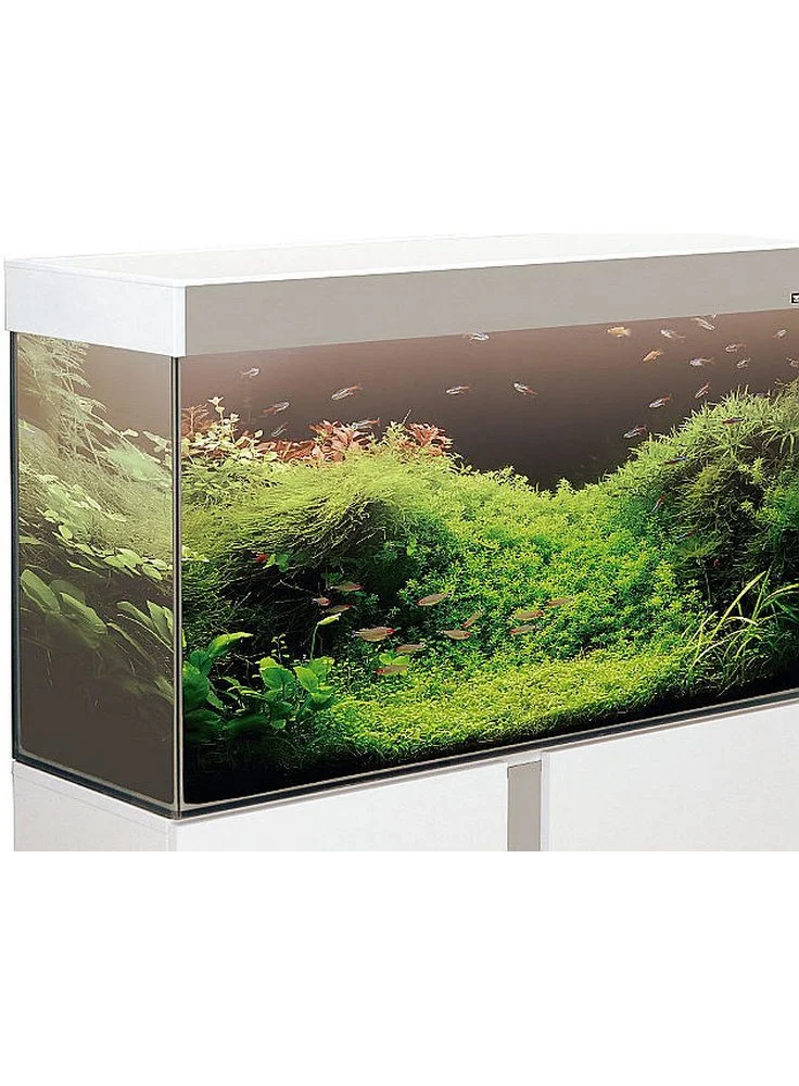 Askoll Emotion Pro Led 100 E 120 Anche Con Allestimento 4 Askoll Emotion Pro Led 100 E 120 Anche Con Allestimento - immagine 2