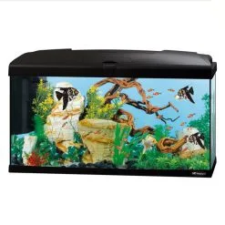 Acquario Ferplast Capri 80 Led Ferplast 100lt Nero