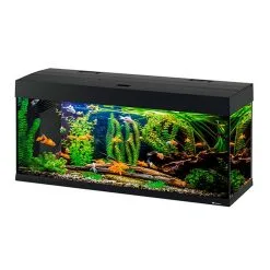 FERPLAST Acquario Dubai 120 Led Bianco Nero -Vendite Cibo per i pesci dubai2012020nero