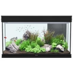 Acquario Aquatlantis 120x40 In Kit Con Mobile Di Supporto