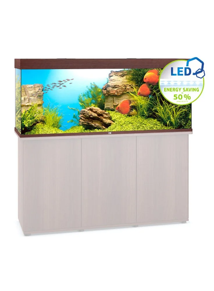 Zolux Acquario Juwel Rio 450 A Led Nero Bianco Darkwood 4 Zolux Acquario Juwel Rio 450 A Led Nero Bianco Darkwood - immagine 2