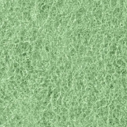 Fluval 107/207 Pacchetto Cargas 6 Mesi 7 Fluval 107/207 Pacchetto Cargas 6 Mesi - immagine 5