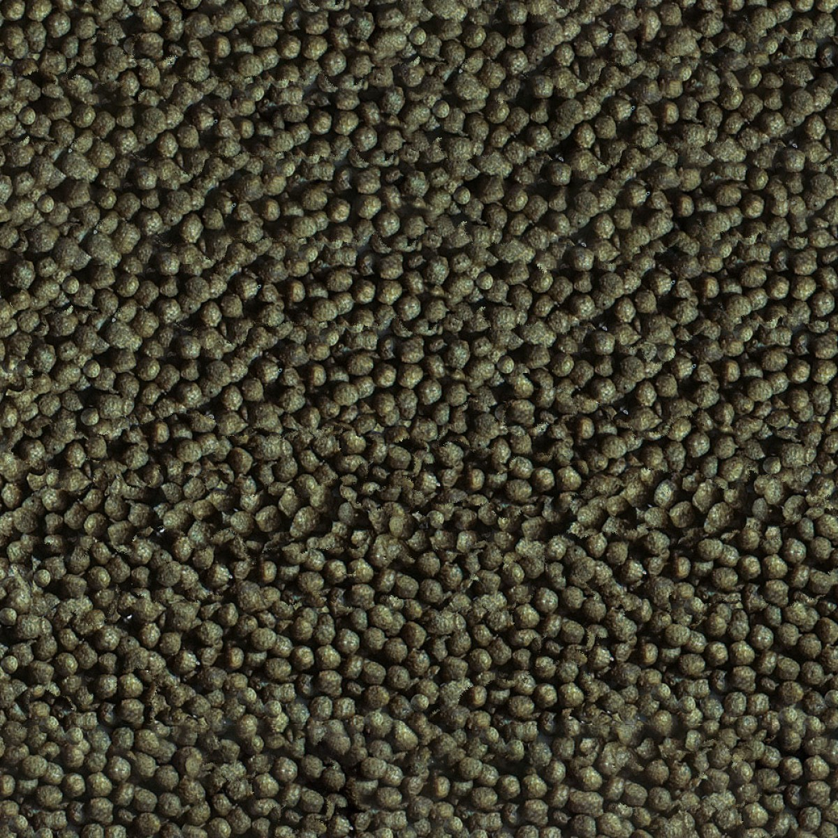 Sera Granuli Goldy Color Spirulina Per I Colori Del Pesce Rosso 4 Sera Granuli Goldy Color Spirulina Per I Colori Del Pesce Rosso - immagine 2