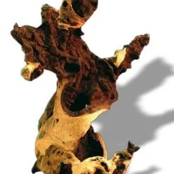 Wave Radice Di Mopani