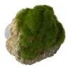 Decoro AQUA DELLA MOSS STONE -S- 12x9,5x10,5cm -Vendite Cibo per i pesci la 1980e65972dce68dad4d52d063967f0a7051456323691