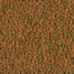 Tetra Wafermix Pesci Di Fondo -Vendite Cibo per i pesci la 2121534b76d325a8f591b52d302e71813311531235001