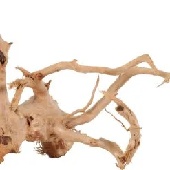Zolux Radici Ragno Per Acquario - Diverse Taglie Disponibili -Vendite Cibo per i pesci la 2121534b76d325a8f591b52d302e71813311626782263