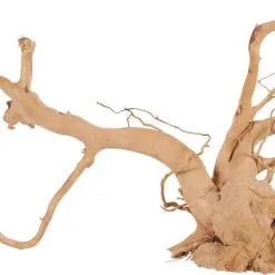 Zolux Radici Ragno Per Acquario - Diverse Taglie Disponibili -Vendite Cibo per i pesci la 2449188905e74c28e489b44e954ec0b9bca1626782262