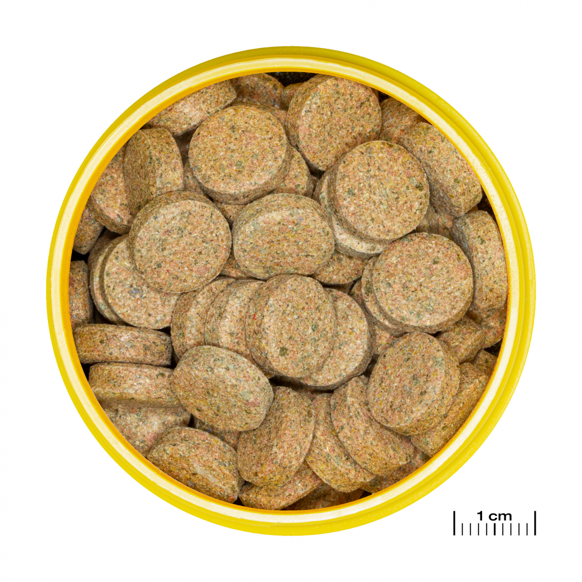 JBL Pronovo Tab M Per Tutti I Pesci D'acquario 4 JBL Pronovo Tab M Per Tutti I Pesci D'acquario - immagine 2