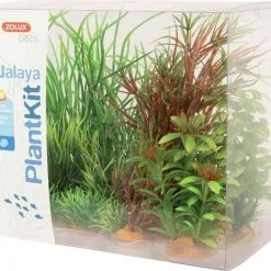 Zolux Plantkit Jalaya 6 Piante -Vendite Cibo per i pesci la 296d296c101daa88a51f6ca8cfc1ac79b501512644008