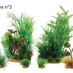 Zolux Plantkit Jalaya 6 Piante -Vendite Cibo per i pesci la 314758874998f5bd0c393da094e1967a72b1512747960