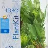 Zolux Assortimento Di 6 Piante Artificiali Plantkit IDRO - N ° 2 -Vendite Cibo per i pesci la 362c3e878e27f52e2a57ace4d9a76fd9acf1576770643