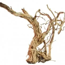 Wave Decorazione Radice LEGNO DRAGON SKIN