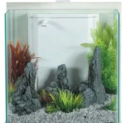 Zolux Assortimento Di 6 Piante Artificiali Plantkit IDRO - N ° 2 -Vendite Cibo per i pesci la 456c8349cc7260ae62e3b1396831a8398f1576770648