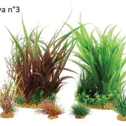 Zolux Plantkit Jalaya 6 Piante -Vendite Cibo per i pesci la 46d9d4f495e875a2e075a1a4a6e1b9770f1512643997