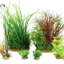 Zolux Plantkit Jalaya 6 Piante -Vendite Cibo per i pesci la 4755ef0b4eba35ab2d6180b0bca7e46b6f91512644012
