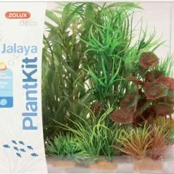 Zolux Plantkit Jalaya 6 Piante -Vendite Cibo per i pesci la 509e2230b853516e7b05d79744fbd4c9c131512747943