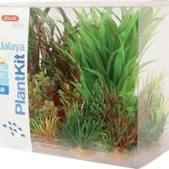 Zolux Plantkit Jalaya 6 Piante -Vendite Cibo per i pesci la 52685422afb467e9456013a2a51d4dff7021512643985