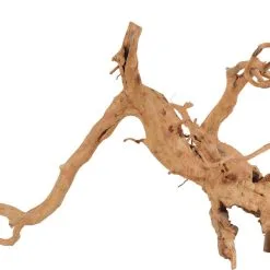 Zolux Radici Ragno Per Acquario - Diverse Taglie Disponibili -Vendite Cibo per i pesci la 533df877f3865752637daa540ea9cbc474f1626782263