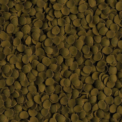 Tetra Pleco Veggie Wafers Alimento Per Pesci Di Fondo Erbivori 5 Tetra Pleco Veggie Wafers Alimento Per Pesci Di Fondo Erbivori -Vendite Cibo per i pesci la 5576e2713a6efee97bacb63e52c54f0ada01551433848