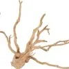 Zolux Radici Ragno Per Acquario - Diverse Taglie Disponibili -Vendite Cibo per i pesci la 585a9a1d5317a33ae8cef33961c34144f841626782260