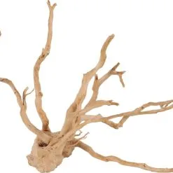 Zolux Radici Ragno Per Acquario - Diverse Taglie Disponibili