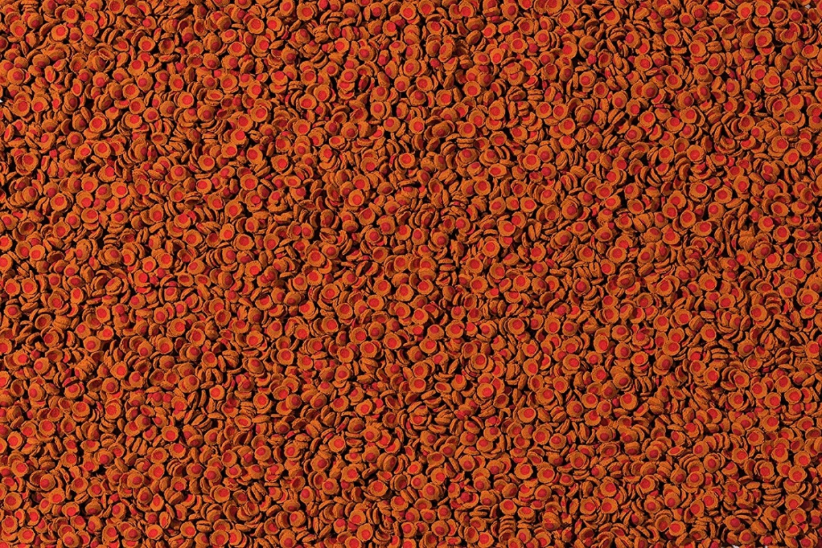 Tetra Cory Shrimp Wafers Per Pesci Che Si Nutrono Sul Fondo 4 Tetra Cory Shrimp Wafers Per Pesci Che Si Nutrono Sul Fondo - immagine 2