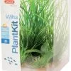 Zolux Decorazione Plantkit Wiha 3 Diverse Piante 2 Zolux Decorazione Plantkit Wiha 3 Diverse Piante -Vendite Cibo per i pesci la 5993435c378bb76d4357324dd7e69f3cd181512039256
