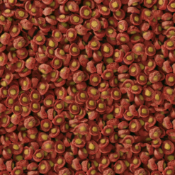 Sera Koi Professional Cibo Composto Primavera/autunno -Vendite Cibo per i pesci la 6167750ca3559e5b8e1f44210283368fc161688482191