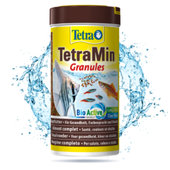 TetraMin Granuli - Alimento Completo Per Pesci Tropicali -Vendite Cibo per i pesci la 62448ab2f9b45957ab574cf005eb8a767601611910610